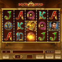 Robocat - Book of Dead - Slot Game