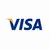 Robocat - Visa Payment Method